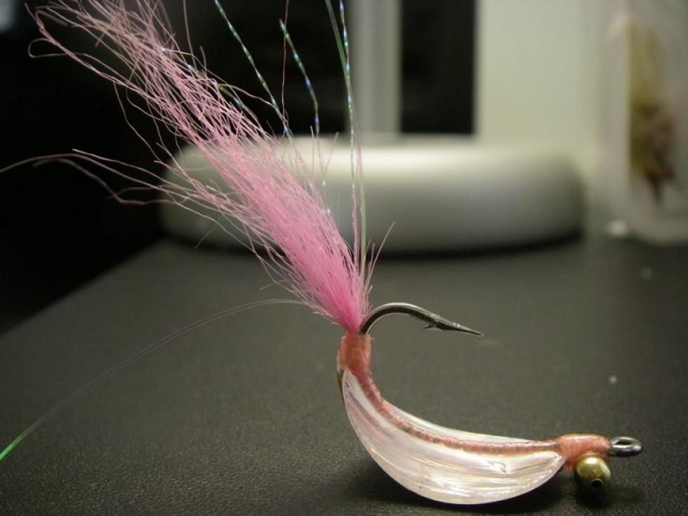 clear cure goo spoon flies so easy a caveman can do it casting tales