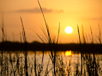 Galveston Marsh Sunrise