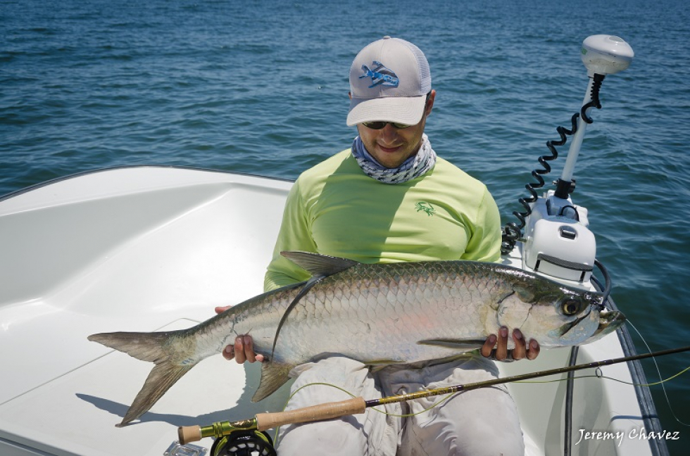 After driving thousands of miles to Florida to catch my first tarpon and coming back empty-handed, I was finally able to land my first tarpon on fly here in Texas. Photo of the Week…Texas Tarpon
