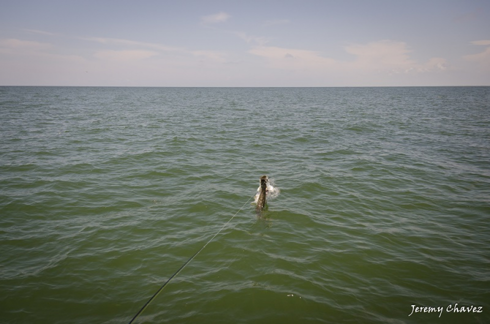 Jumping Poon Sequence
