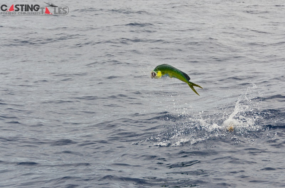 Summer on the Road Part II