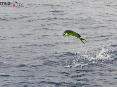 Summer on the Road Part II