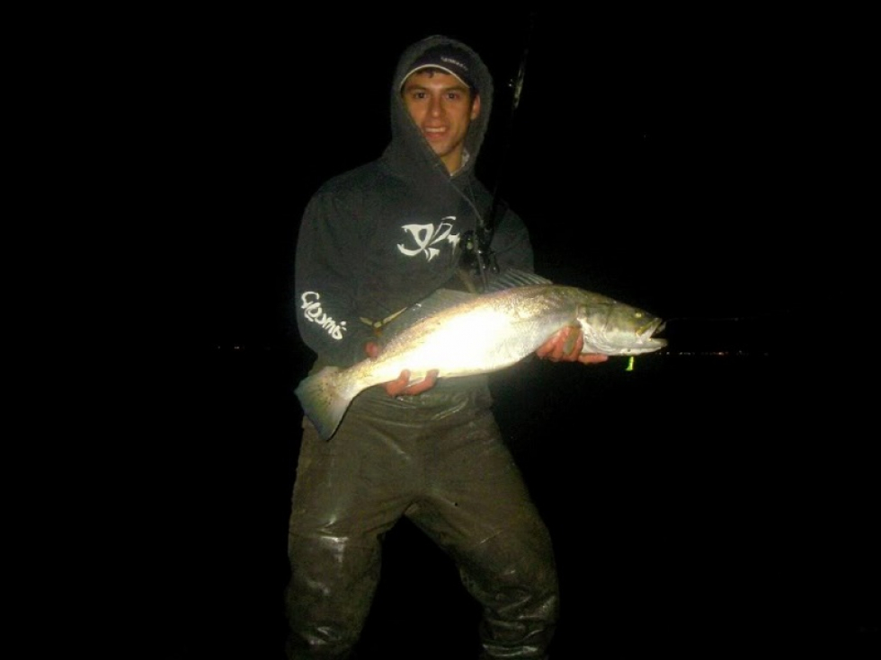 Big Girls Need Love Too