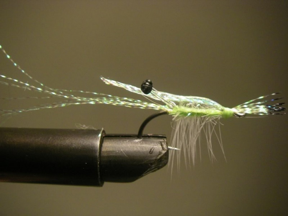 More Clear Cure Goo Flies