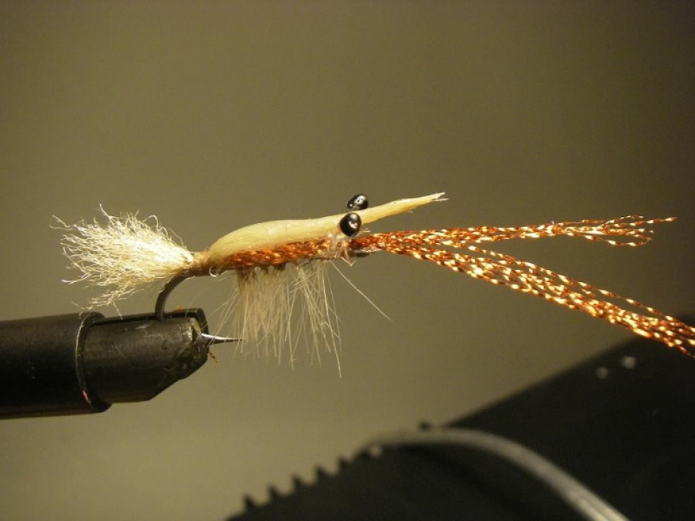 I played around with CCG some more last night, tying my first spoon fly and an epoxy shrimp variation that I visualized a while back. I still have some tinkering to do to get them just right but I think my first attempts were fairly successful. More Fun with Clear Cure Goo