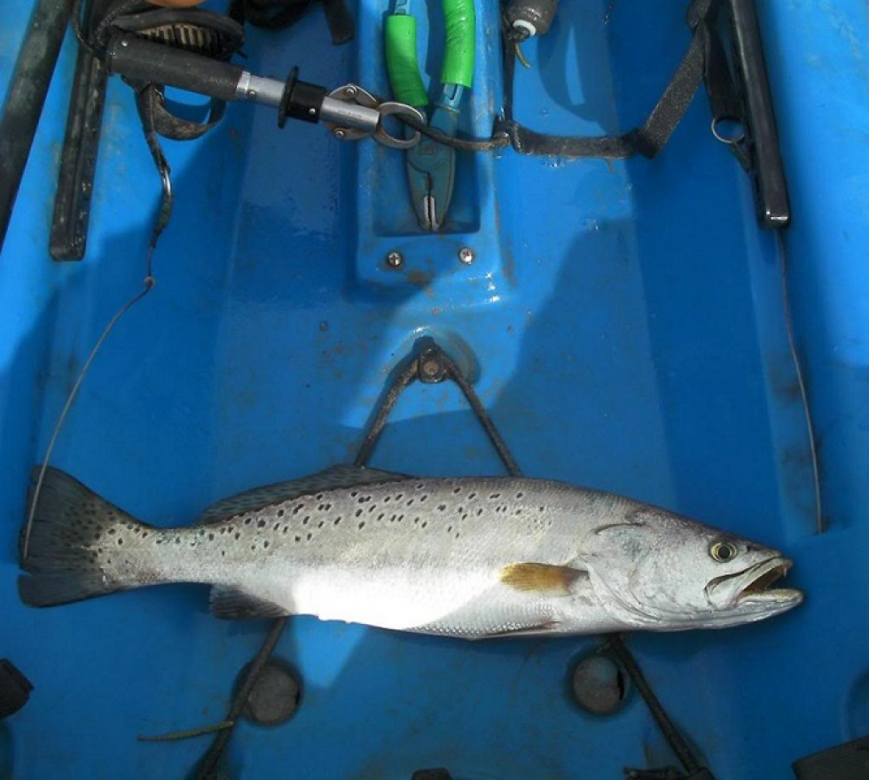 Farewell Dirty Water