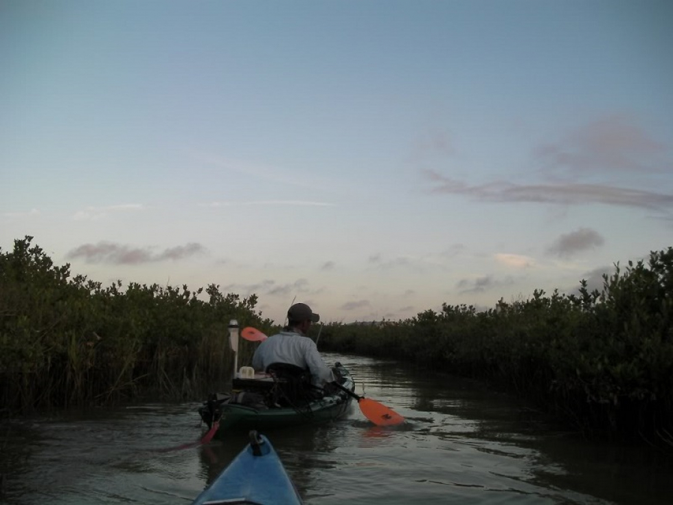 Low Tide in the Marsh