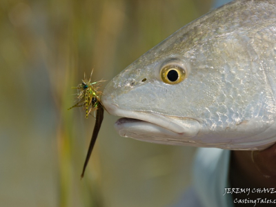 Casting for a Cause Recap