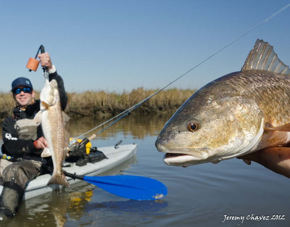 Photo of the Week…Doubles