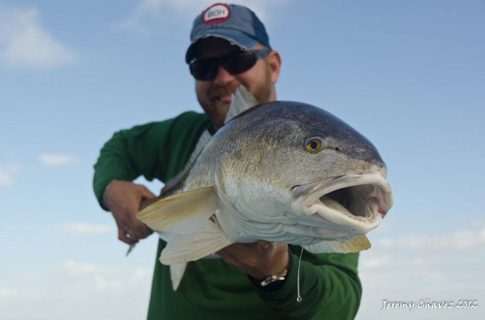 Running of the Bulls