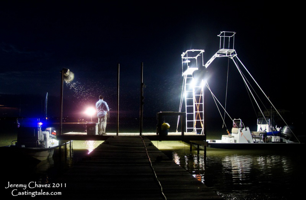 Weekend at the Land Cut