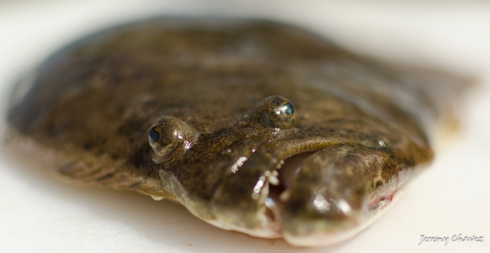 Photo of the Week…A Face Only a Mother Could Love