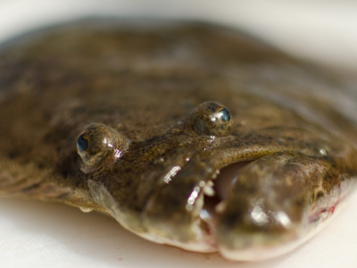 Photo of the Week…A Face Only a Mother Could Love