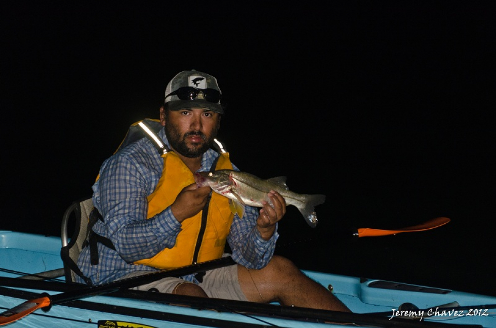 Spent a few days in the Lower Laguna last week with a big group of kayakers. Conditions weren’t ideal but we made the best of what we were given. Not many snook caught this trip but here’s one Don caught in the lights with the fly rod. Photo of the Week…Texas Linesiders