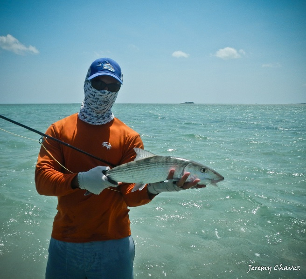 Bahamas Hangover Part 2