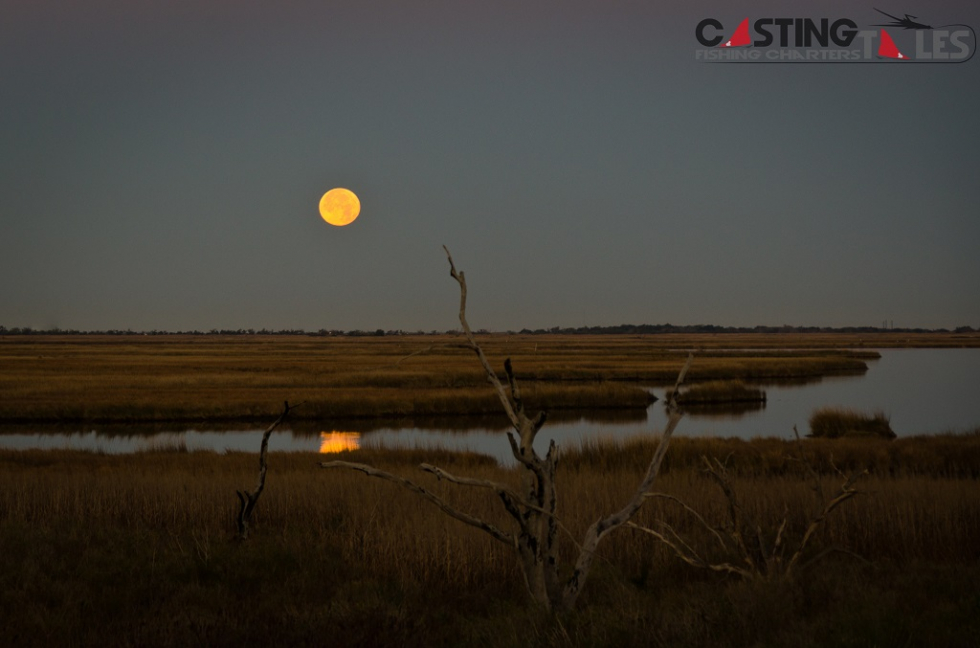 Full moon setting over the Louisiana marsh. Photo of the Week…Full Moon