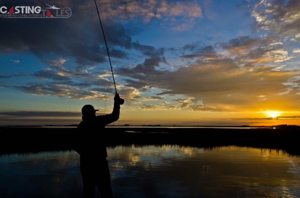 Photo of the Week…Fading Light