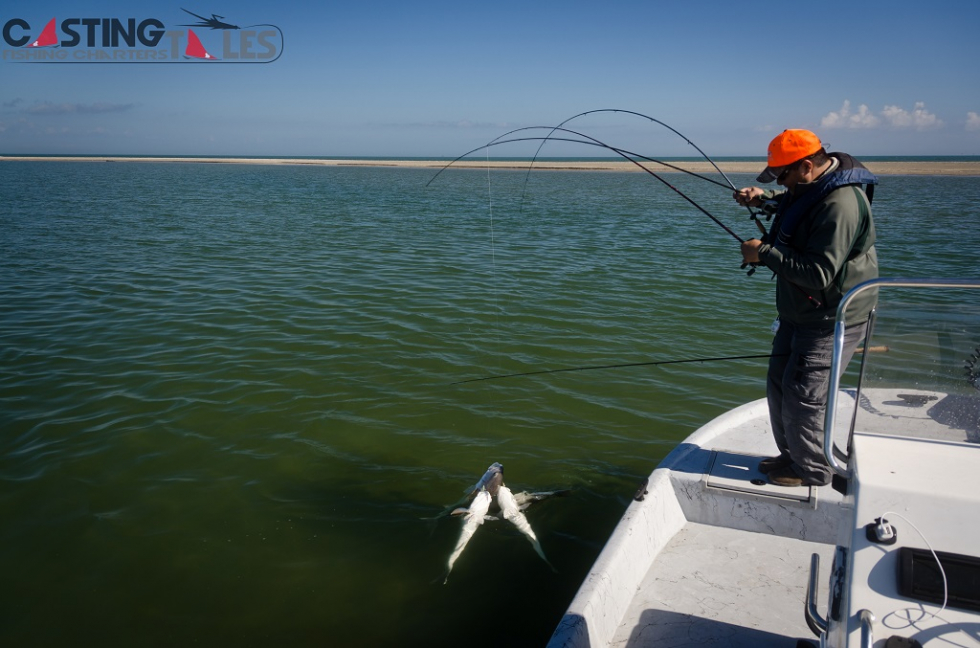 If one is good four is better. There’s no such thing as too much a good thing. Fishing has been very good in the Louisiana marsh lately. Photo of the Week…Quad