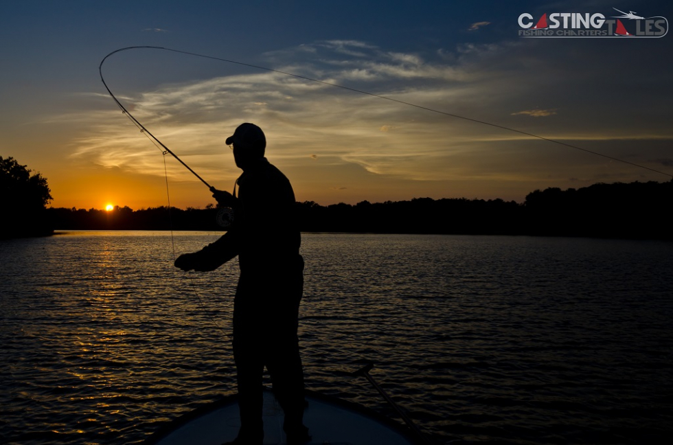 Photo of the Week….Race Against the Sun