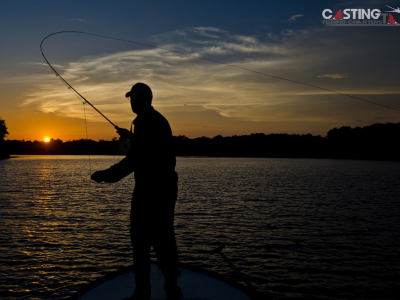 Photo of the Week….Race Against the Sun