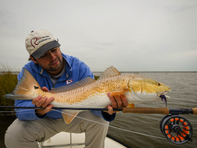 Galveston Marsh Redfish