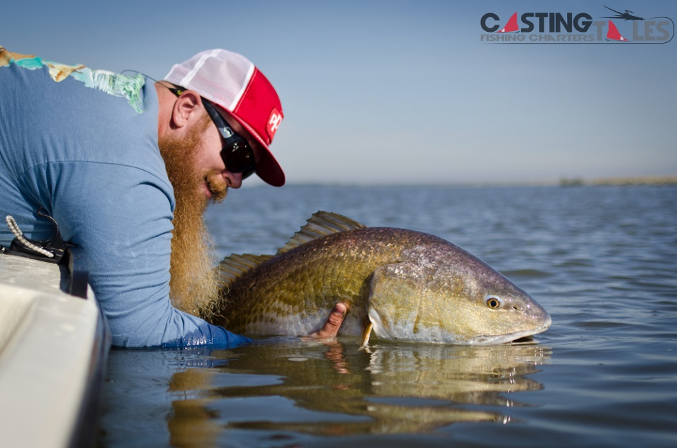 Photo of the Week…A Day Well Spent