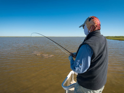 Galveston Bay Clear Water Redfish