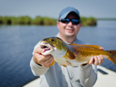 Galveston Golden Redfish