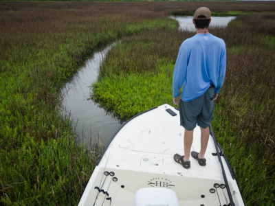 Galveston Marsh Creek