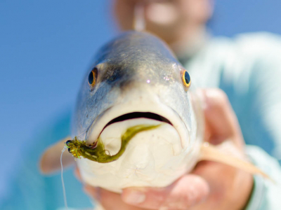 Galveston Redfish Fly