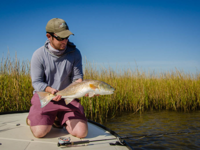 Galveston Marsh Redfish