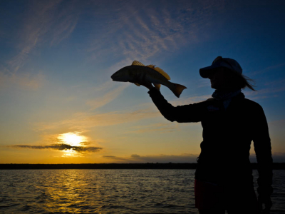 Galveston Sunrise Redfish