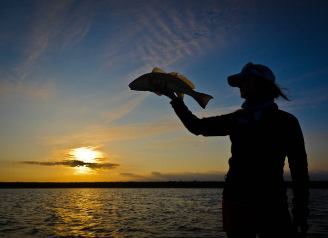 Galveston Sunrise Redfish