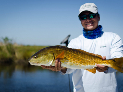 Galveston Gold Marsh Redfish