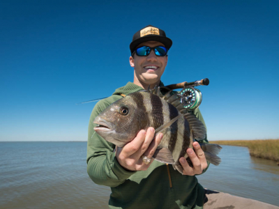 Galveston Sheepshead on Fly