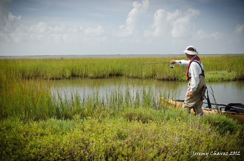 Photo of the Week…They’re Right There