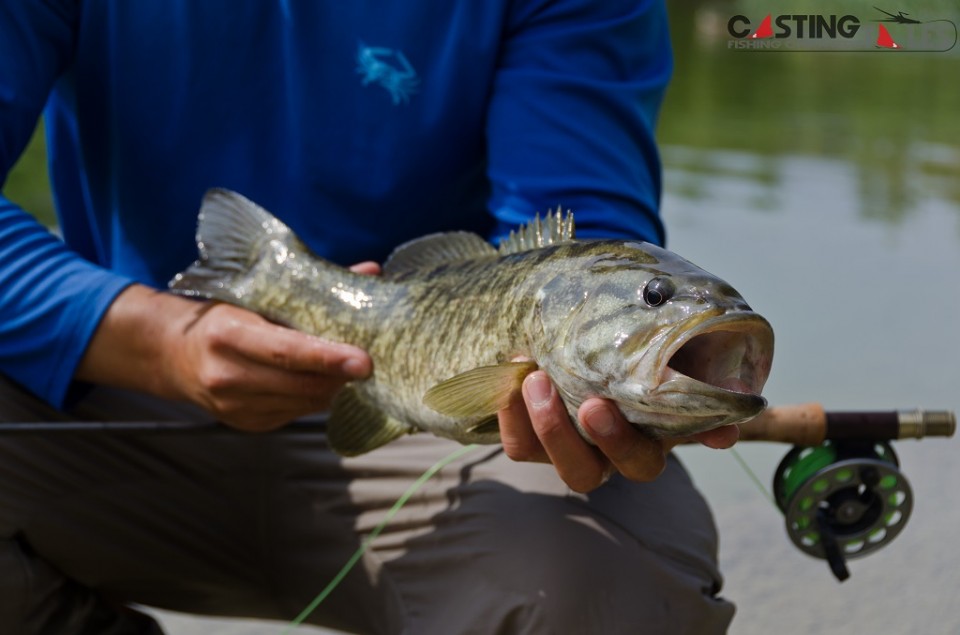 Devils River Smallmouth