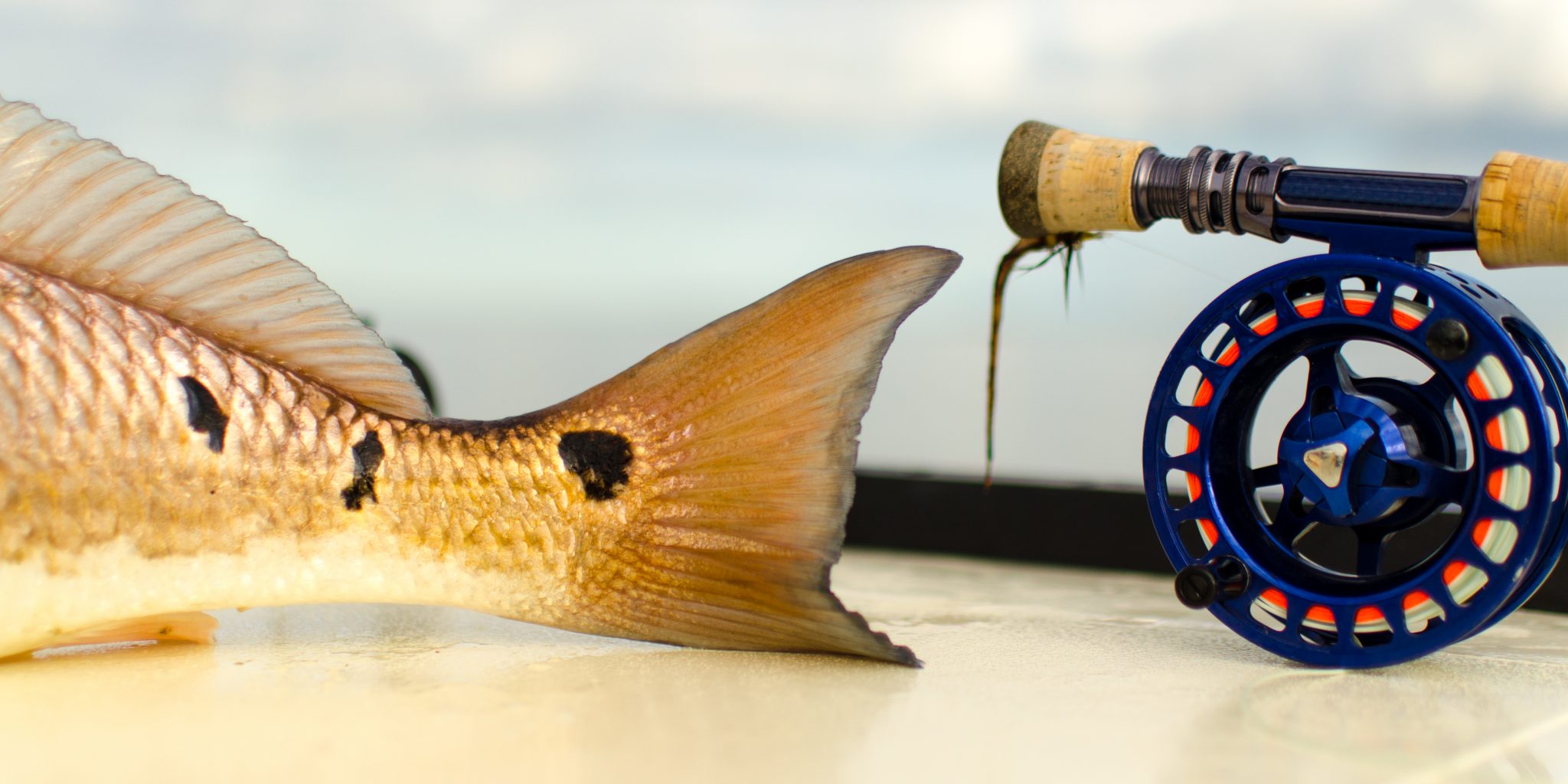 Galveston Fly Fishing Guide Matagorda Bay Sabine Lake Casting Tales Fishing Charters Jeremy Chavez.