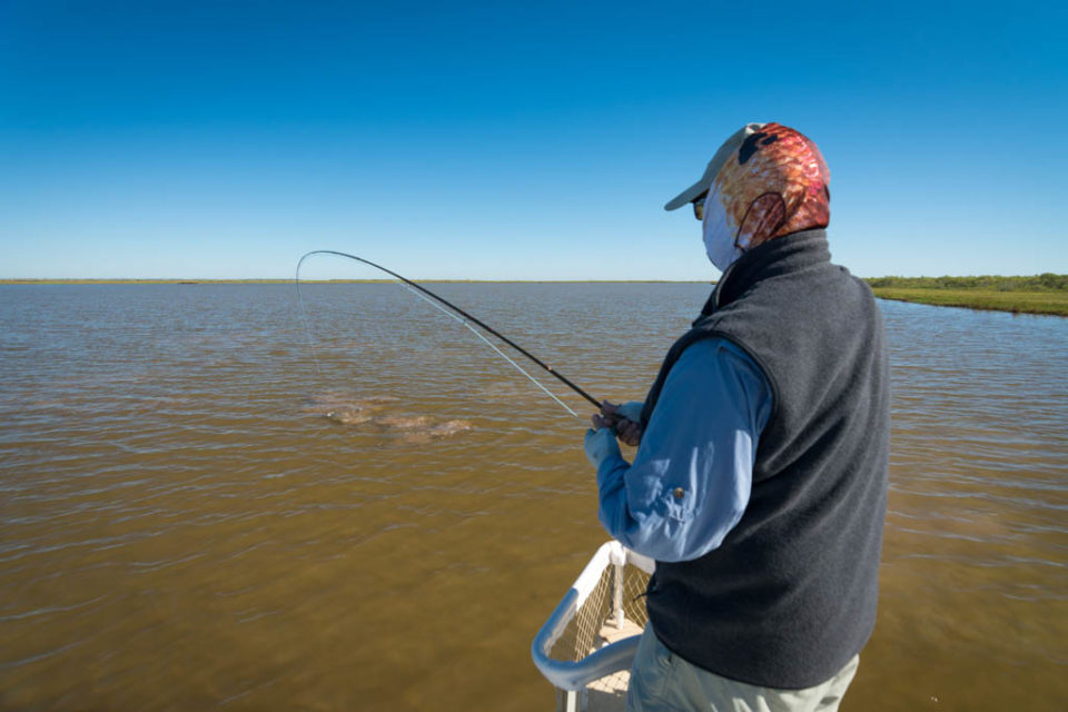 Galveston Bay Clear Water Redfish