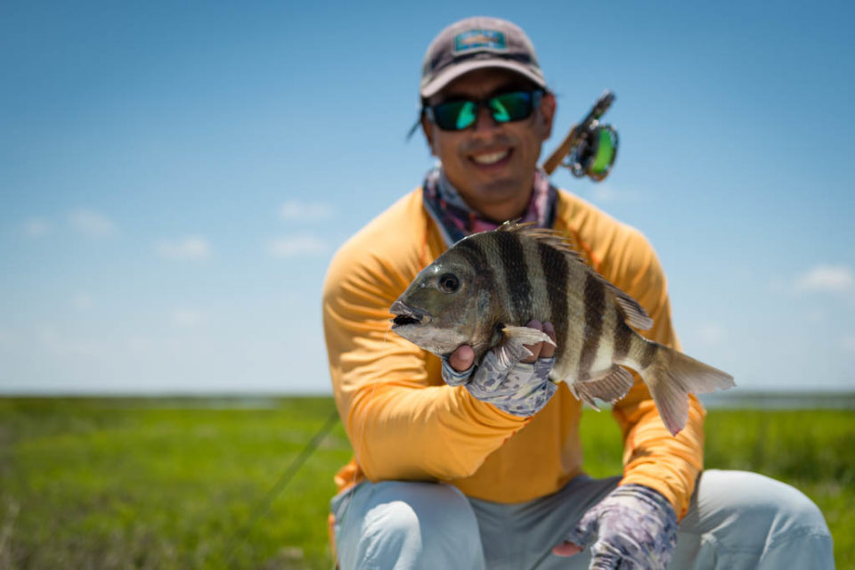Galveston Sheepshead Fly Fishing