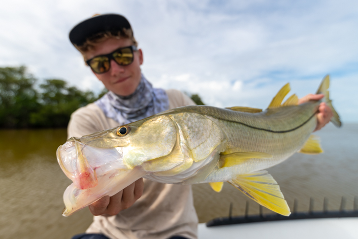 Islamorada Fly Fishing Guide Snook Florida Bay